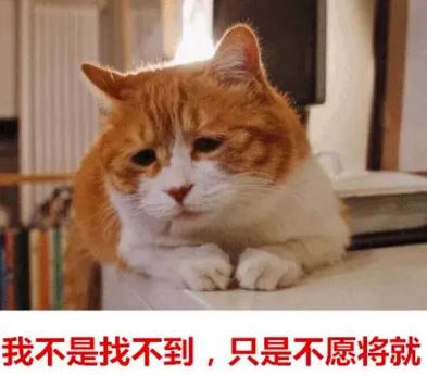 你單身的原因找到了！調(diào)查：七成人不愿將就，半數(shù)男生看臉