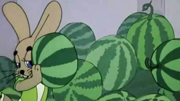 西瓜好不好靠敲？專家教你如何挑西瓜