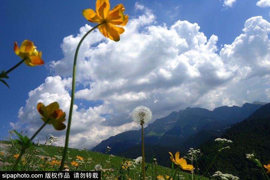 藍天白云刷屏！盤點風清日朗的絕美風光 為眼睛降溫
