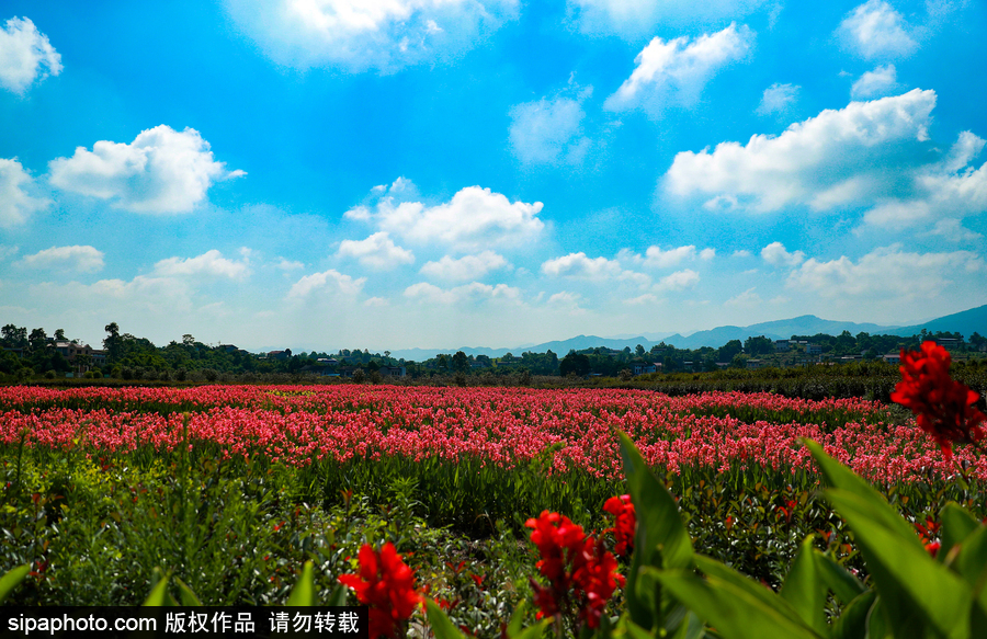 藍(lán)天白云刷屏！盤點(diǎn)風(fēng)清日朗的絕美風(fēng)光 為眼睛降溫