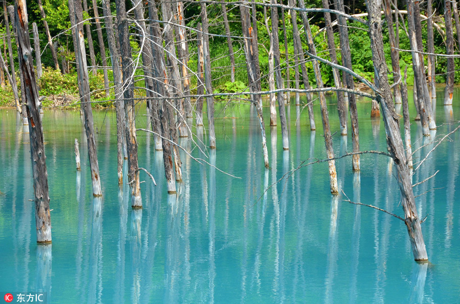 撲面而來的清涼！這個(gè)夏日來一場(chǎng)藍(lán)色主題旅行吧（組圖）
