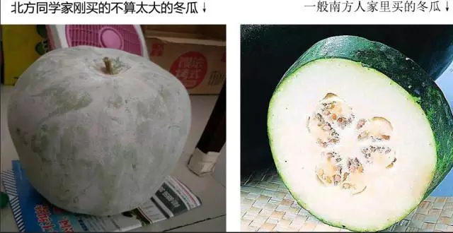 “南北差異”大討論：南方買菜買一頓，北方買菜買一噸？