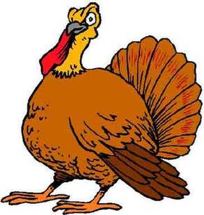 Turkey 感恩節(jié)為什么要吃火雞？