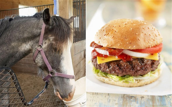 掛牛頭賣馬肉 千萬(wàn)牛馬肉漢堡被召回