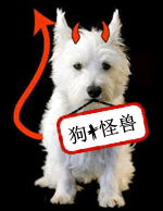 趣味翻譯：沒有自行車的魚？