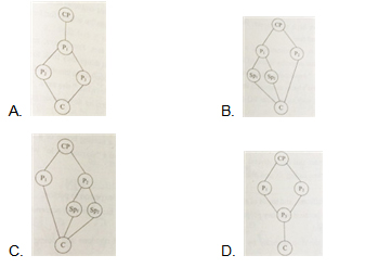 2012高考英語(yǔ)真題及答案（北京卷）