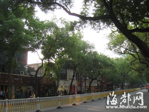 南街將全面啟動(dòng)改造提升　要找回“福州的味道”