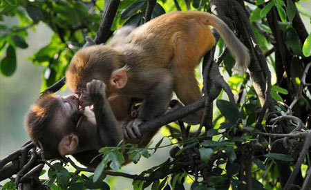 Attractions in Guizhou