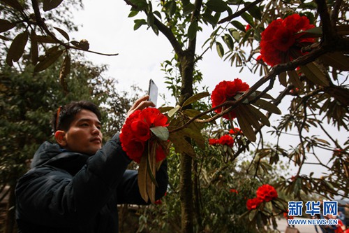 Foreign diplomats enjoy visit to Guizhou