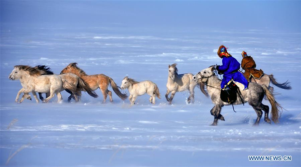 Opening ceremony of horse folk culture kicks off in North China's Inner Mongolia