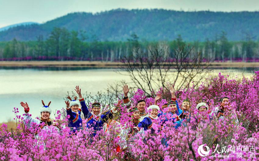 Rhododendrons blossom in Oroqen