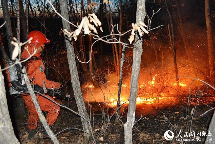 Fires extinguished in Yimuhe forest