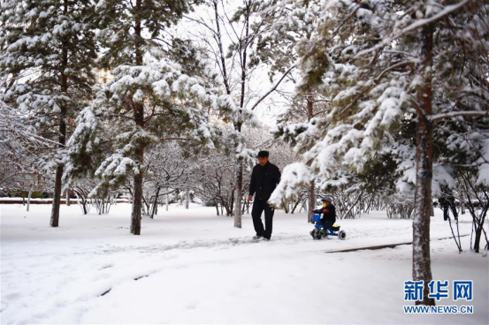 Spring snow blankets Hohhot