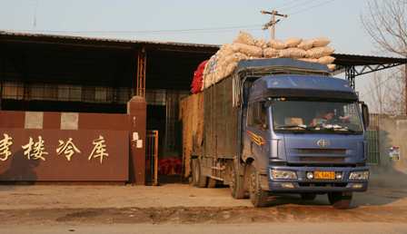 2009：中國(guó)瘋狂的大蒜