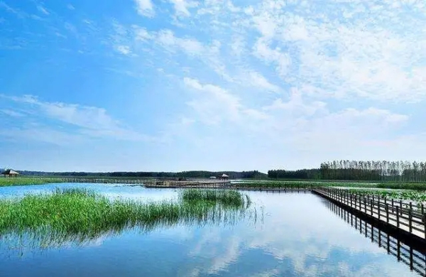 Escape the summer heat at Dongping Lake