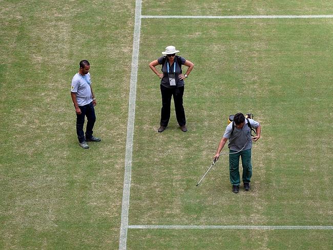 Brazil spray paints field<BR>世界杯草坪噴綠漆(圖)