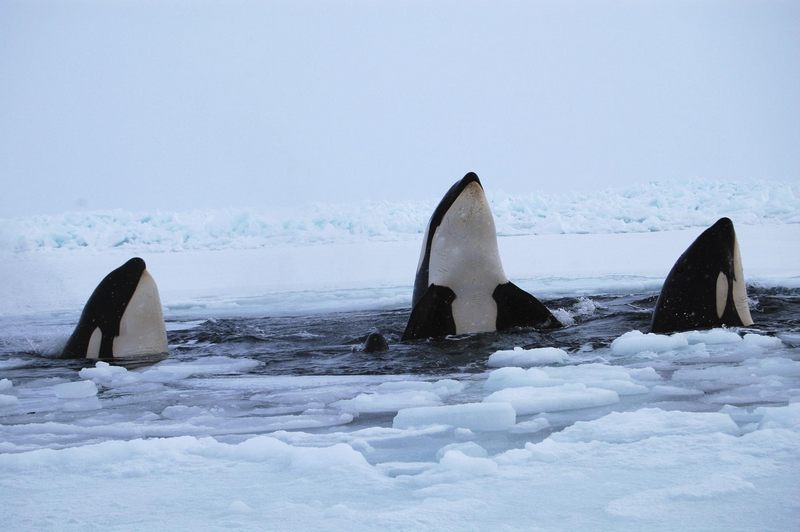 Images of the day - Jan 9