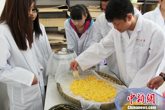 四川成立釀酒產(chǎn)學(xué)研聯(lián)盟18家酒企成實習(xí)基地