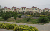 Charming Henan
