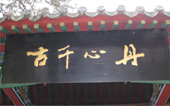 Charming Henan