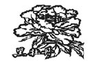 馳名商標(biāo)展示