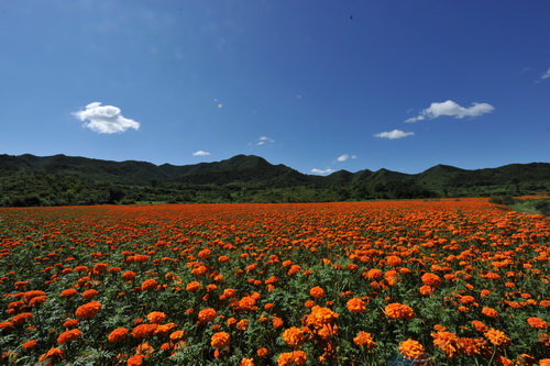 Beautiful scenery