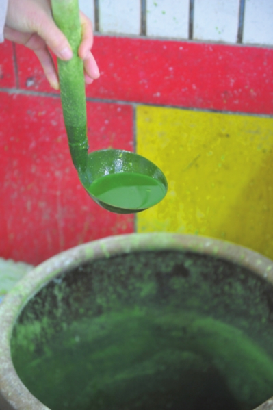 Make a sweet green rice ball in spring