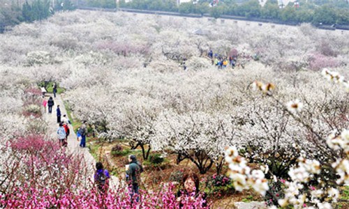 Spring greets with enchanting flowers