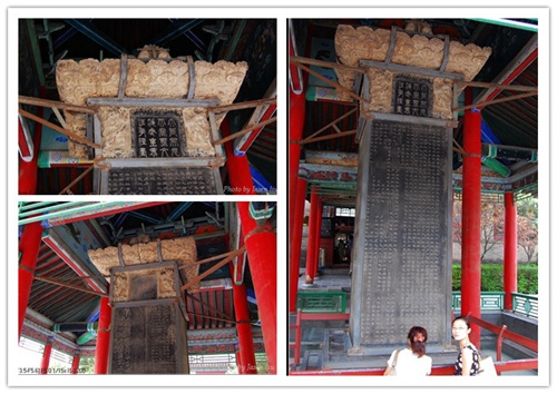 Forest of Stone Steles Museum: to learn the beauty of Chinese characters