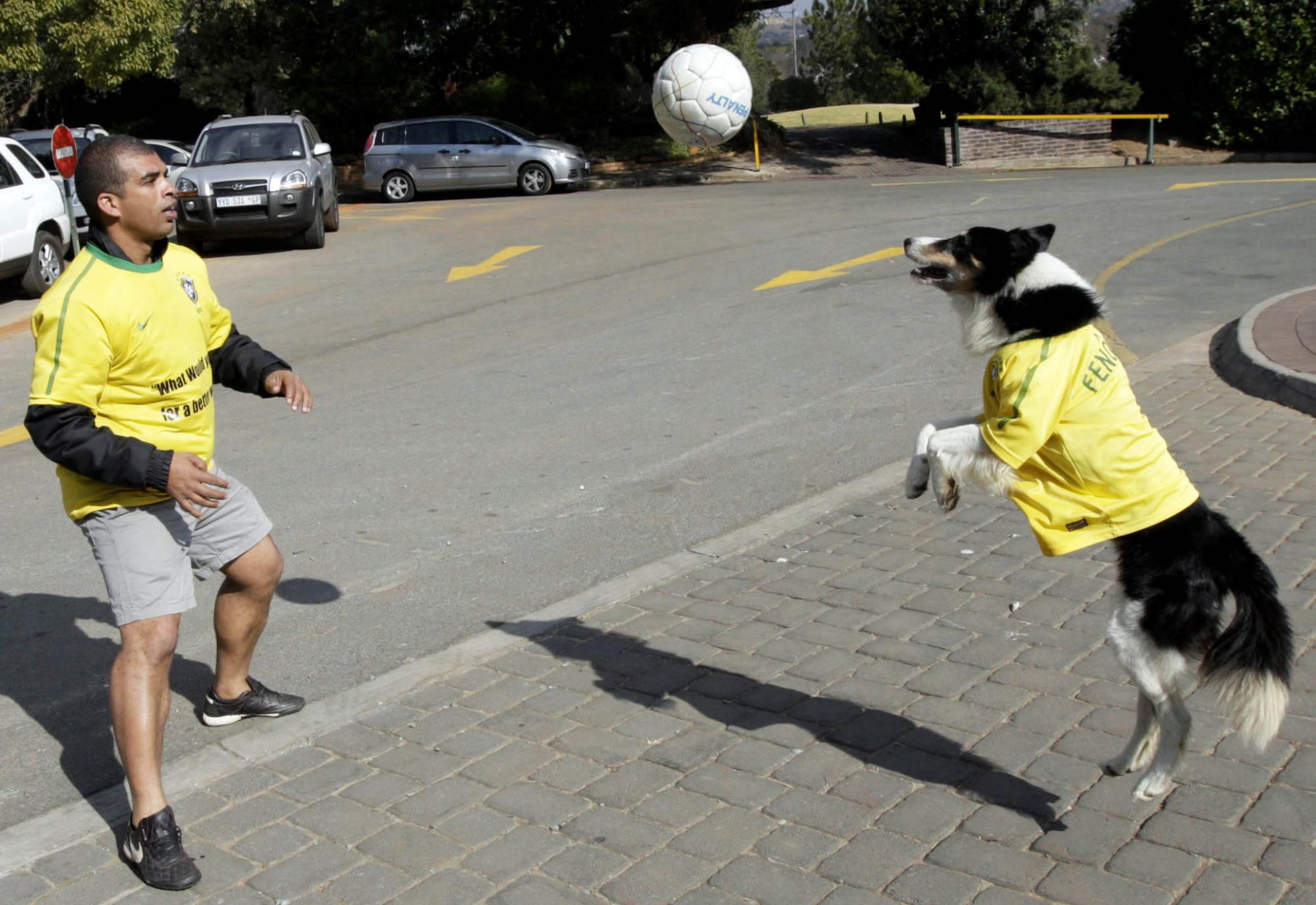 Soccer dog