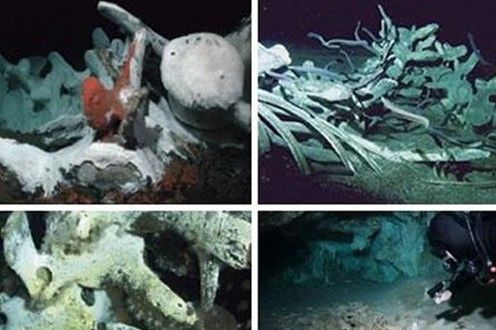 沉船遺骸 探秘不為人知的海底墳?zāi)?/></p>

<p>　　人們還曾在墨西哥尤卡坦水下洞穴中發(fā)現(xiàn)了生活在1萬零500年前的人類骷髏。在水里發(fā)現(xiàn)人類骷髏是一件很不尋常的事情，介于世界上被水體覆蓋的面積，在水里找到人類遺骸就好比在大海里撈針。</p>
</p>
</div>
</div>

<div   class=