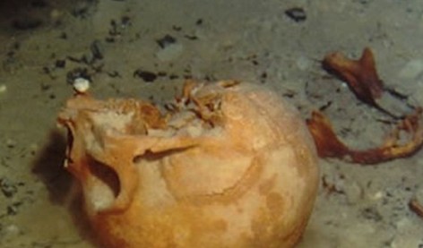 沉船遺骸 探秘不為人知的海底墳?zāi)?/></p>

<p>　　這張圖是考古學(xué)家在墨西哥一處水下洞穴中發(fā)現(xiàn)的女性骷髏頭，其生活時(shí)代可追溯到公元前1萬(wàn)年。</p>

<p>來(lái)源：國(guó)際在線   編輯：許銀娟</p>
</p>
</div>
</div>

<div   class=