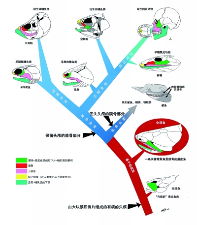 學(xué)者發(fā)現(xiàn)