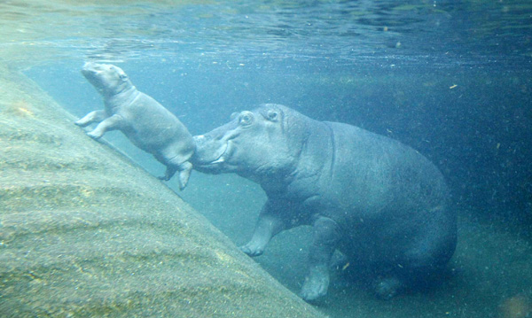 Life weekly photos: Oct 30-Nov 5