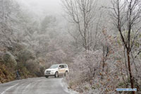 Wintry wonderland