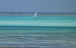 Interlude in Zanzibar