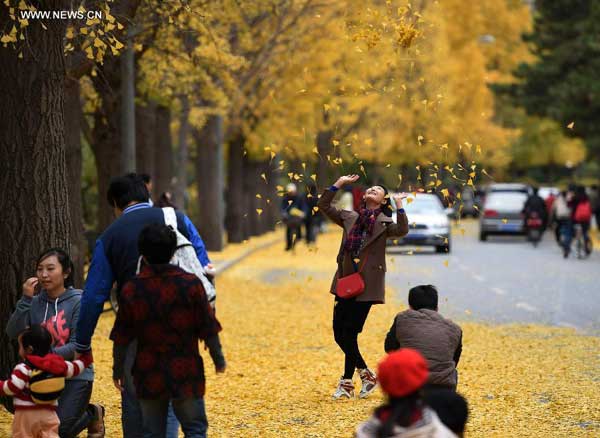 Fun in the leaves