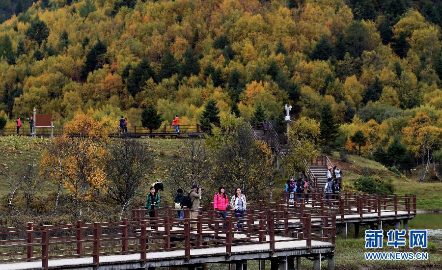 Autumn scenery of China's Shangri-La