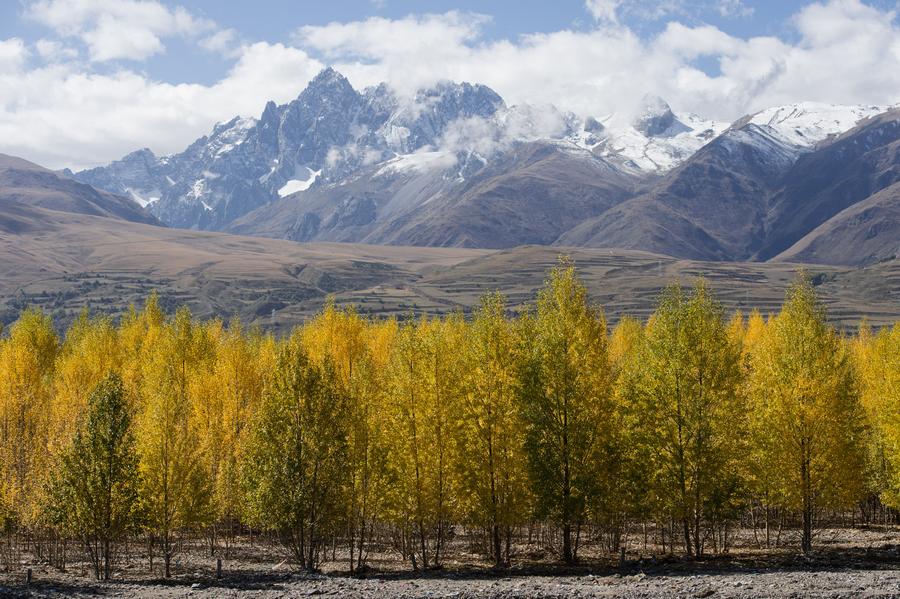 Scenery of Yalong Lingka wetland park in SW China