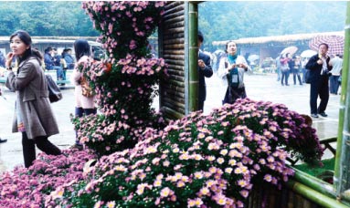 Botanical garden-a colorful treat