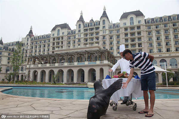 Catching cicadas for food brings small fortune