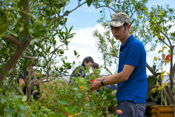 Rural areas are given a modern makeover