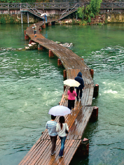 Linking the past to the future 