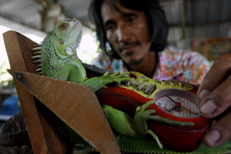 Lizard, 'Cheese' for the camera!