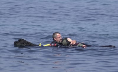 Canine lifeguards doggie paddle to the rescue
