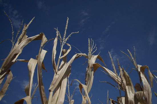 July hottest month in US record