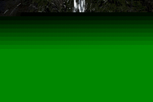 The world in photos: June 23-29