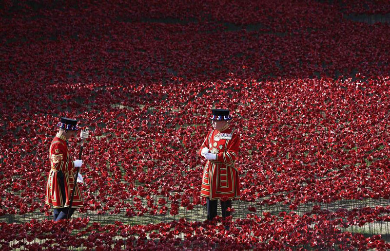 Yearender: Capturing the best vision of 2014