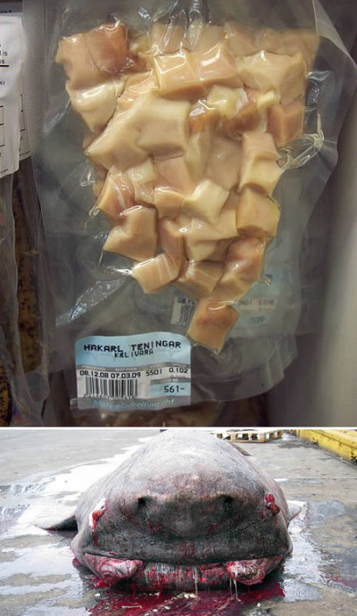 外媒評選的十大奇怪小吃(圖文)