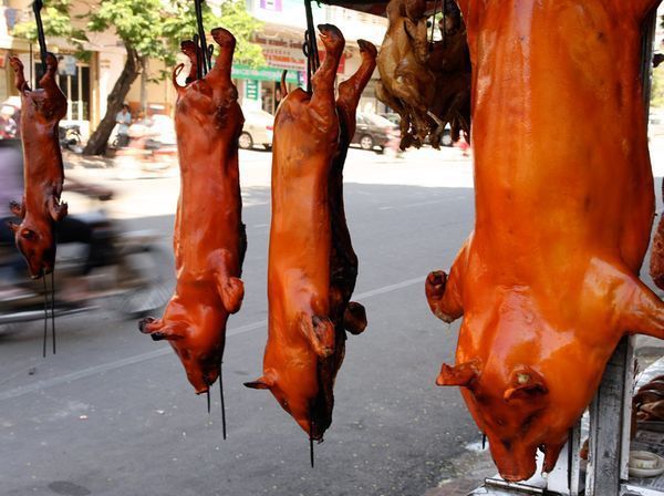 外國人眼中各國特色小吃